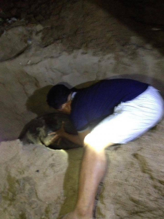 Vị trí mà anh Nguyễn Lộc Quân chôn xác hải cẩu, được nhiều người dân tới thắp nhang.