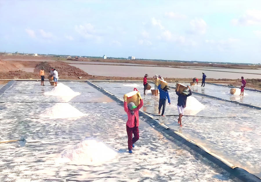 Sản phẩm từ muối Bạc Liêu được quảng bá, giới thiệu tại Hội nghị xúc tiến đầu tư tỉnh Bạc Liêu năm 2025.
