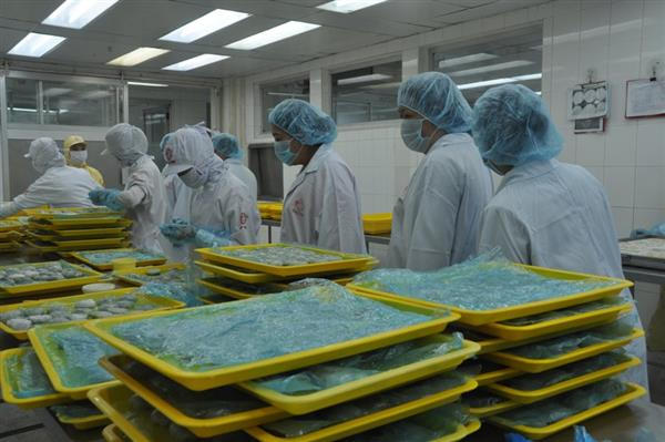 Chế biến tôm xuất khẩu