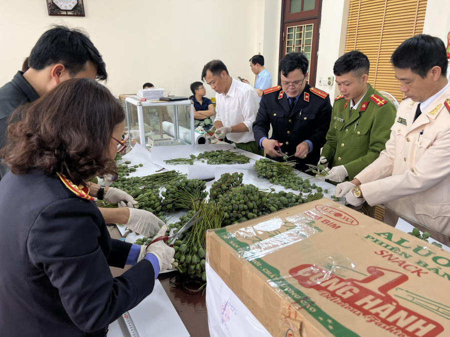 anh-1luc-luong-chuc-nang-trung-cau-giam-dinh