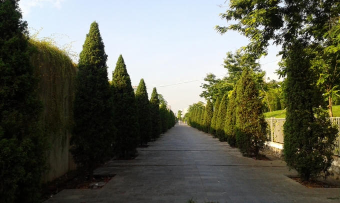 Lối vào trong đền được bao phủ bởi hàng cây xanh mướt.