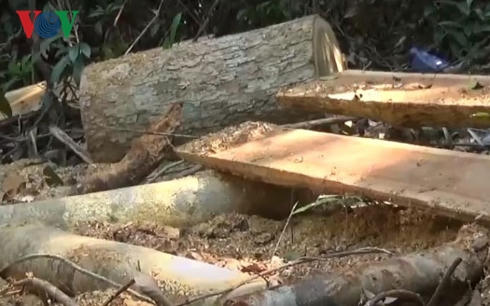 Tang vật bị thu giữ .