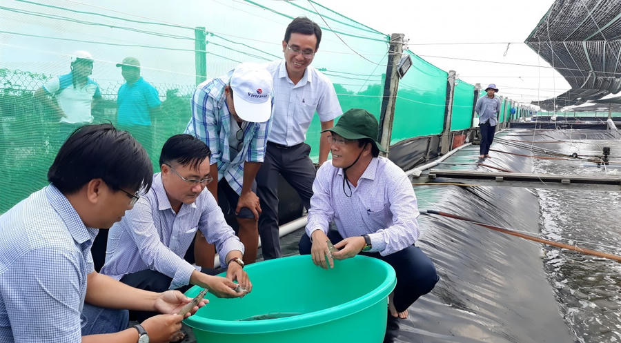 Lãnh đạo Sở Nông nghiệp và Phát triển nông thôn tỉnh Bạc Liêu, tham quan mô hình nuôi tôm ứng dụng công nghệ cao trên địa bàn huyện Hòa Bình.
