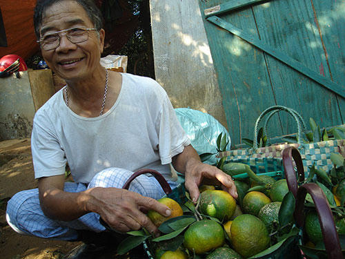 Ông Tạ Đình Đào - một trong những người đầu tiên trồng cam ở Cao Phong.  ảnh: Xuân Tuấn