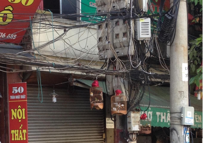 Không những thế người dân còn lợi dụng những sợ dây điện sa này nhằm treo lồng chim.