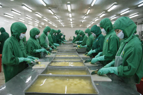 Ảnh: Theo Báo Mới