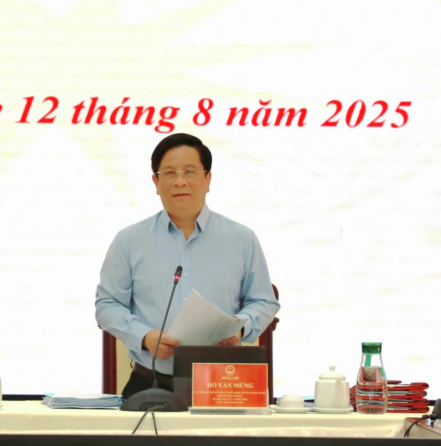 Chủ tịch UBND tỉnh An Giang Hồ Văn Mừng phát biểu kết luận tại Hội nghị