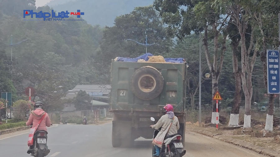 z5019632860143_e776c878c779f9dac55ea46b1f524405