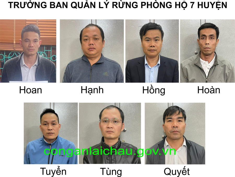 truong-ban-quan-ly-rung-phong-ho-7-huyen-bi-tam-giu-hinh-su