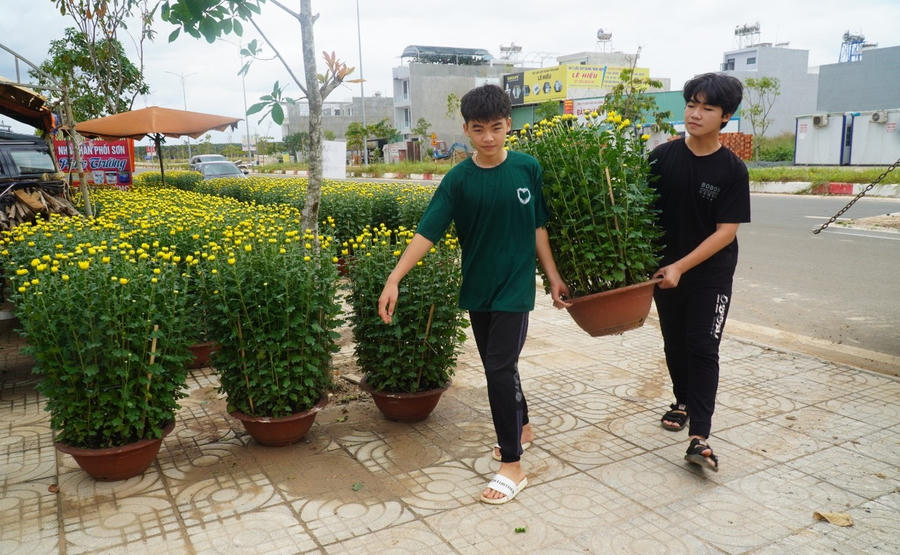Những ngày này sắc xuân tràn ngập xóm nhỏ, bên đường nhiều thương lái đưa hoa về bán xuân cho cư dân tái định cư.