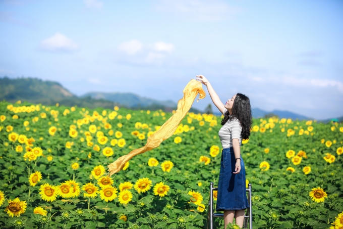 Những thiếu nữ được dịp thả mộng mơ bên cánh đồng hoa rực rỡ.