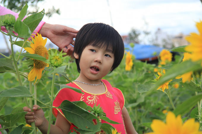 Cháu bé thích thú tạo dáng chụp hình trong vườn hoa.