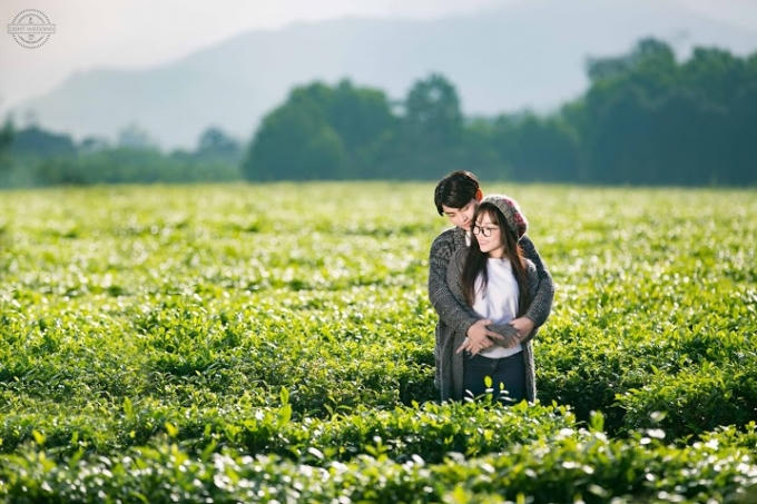 Thả hồn trên rừng xanh bạt ngàn.