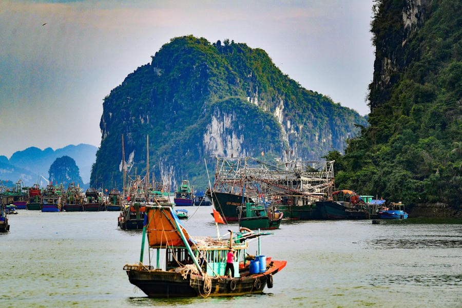Giữa khung cảnh đó, con người Hạ Long hiện lên giản dị mà thân thiện. Là người ngư dân thong thả gỡ lưới bên bến cá Cửa Vạn. Những khoảnh khắc ấy, dù nhỏ bé, nhưng lại khiến người xem cảm nhận rõ nhịp sống chậm rãi và thanh bình – thứ mà có lẽ chỉ Hạ Long những ngày này mới có.