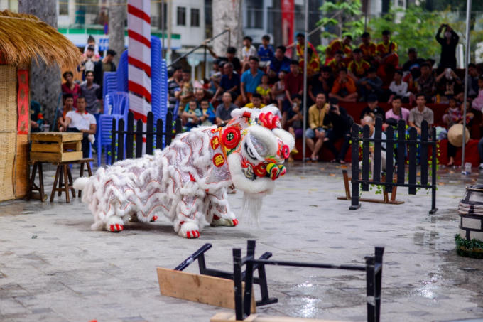 Liên hoan Lân Sư Rồng TP.HCM đang dần trở thành một hoạt động văn hóa đặc trưng của quận 5, góp phần nâng cao chất lượng du lịch thành phố.