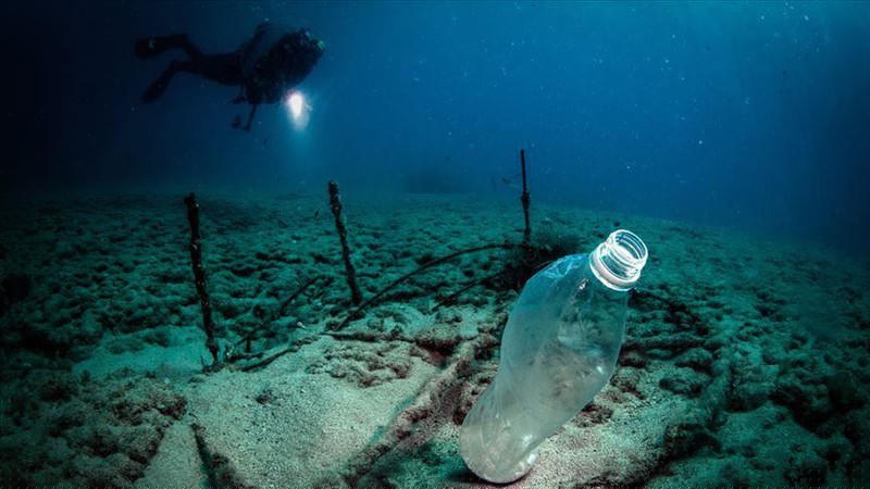 Rác thải nhựa xuất hiện cả dưới đáy biển. 