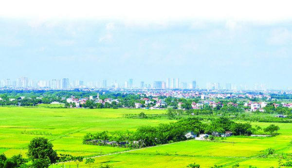 chuyen doi muc dich su dung dat