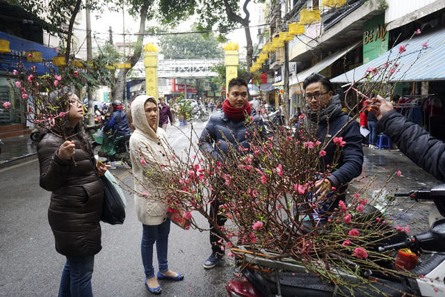 Năm nay, những cành đào nhỏ được đưa về từ Nhật Tân bán chạy, giá giao động từ 50 - 100 nghìn đồng/cành. Thời điểm sau ngày ông Công ông Táo, cành đào và cây đào to mới được chú ý.  Là chợ hoa cổ giữa khu 36 phố hàng Hà Nội, không khí mua bán ở chợ Hàng Lược cũng có nét rất riêng, đậm chất Hà Thành: đi chợ cũng là đi hưởng không khí Tết cổ truyền.