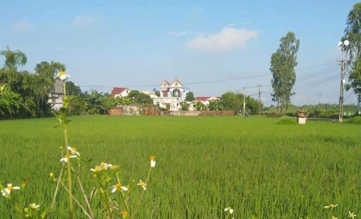 Nguyên Chủ tịch UBND xã An Bình (huyện Kiến Xương, tỉnh Thái Bình) và cán bộ địa chính xã bị bắt giam vì bán đất trái thẩm quyền. Ảnh minh họa: Mạnh Cường