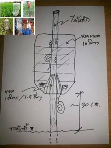 Mô hình thiết kế chiếc bẫy của nông dân Thái Lan