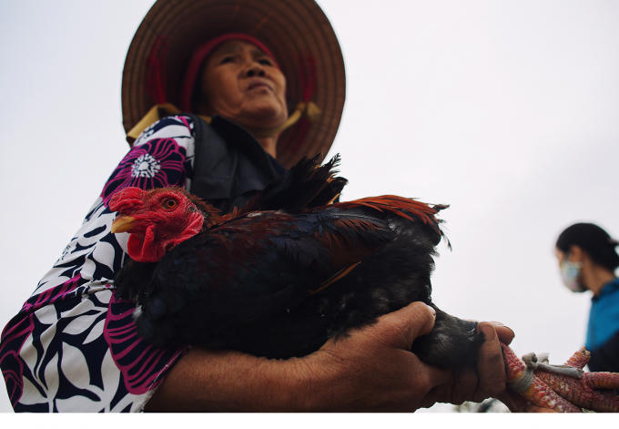 Gương mặt lo lắng của người phụ nữ vì đã sắp tàn chợ mà chẳng ai mua con gà sống của bà, vì nó bị cụt đuôi.