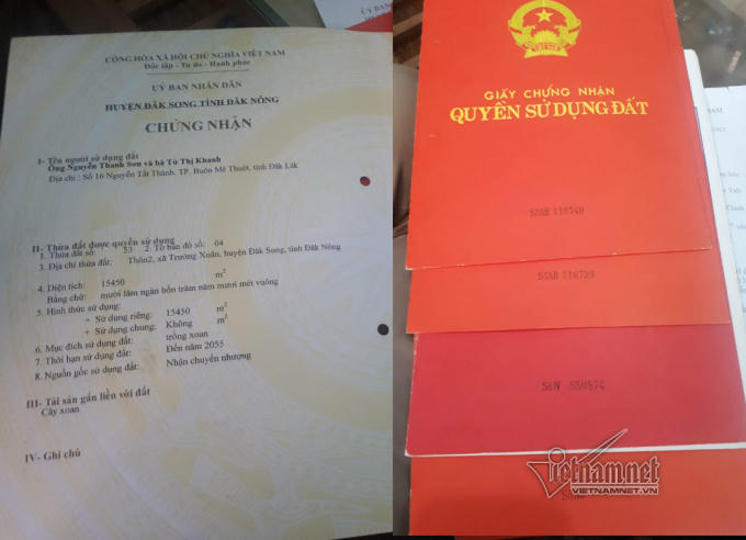 7/10 sổ đỏ thu hồi chỉ trên giấy, gia đình ông Sơn vẫn bao chiếm, canh tác trên đất cấp trái quy định tại huyện Đắk Song