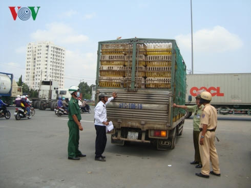 Cơ quan chức năng TPHCM kiểm tra chặt chẽ tình trạng vận chuyển gia cầm không rõ nguồn gốc.