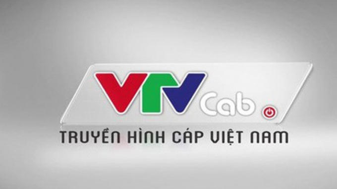Ảnh minh họa. (Nguồn: VTV)