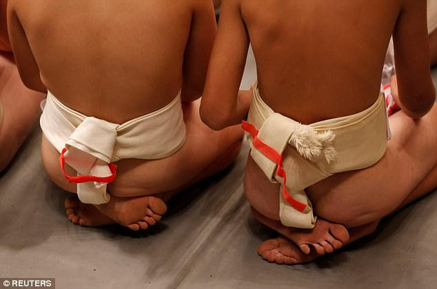 Chế độ ăn - tập của võ sĩ sumo chuyên nghiệp về cơ bản đều giống nhau. Họ bỏ qua bữa sáng và bắt đầu luyện tập từ sớm. Sau vài tiếng luyện tập, đến bữa trưa, các võ sĩ sẽ có bữa ăn đầu tiên trong ngày. Một ngày, võ sĩ sumo chỉ ăn hai bữa nhưng có giá trị dinh dưỡng lên tới 20.000 calo (người bình thường tiêu thụ khoảng 2.500 calo/ngày). Khi ngủ, họ có thể phải đeo mặt nạ dưỡng khí để cung cấp đủ oxy cho cơ thể. (Ảnh: Reuters)