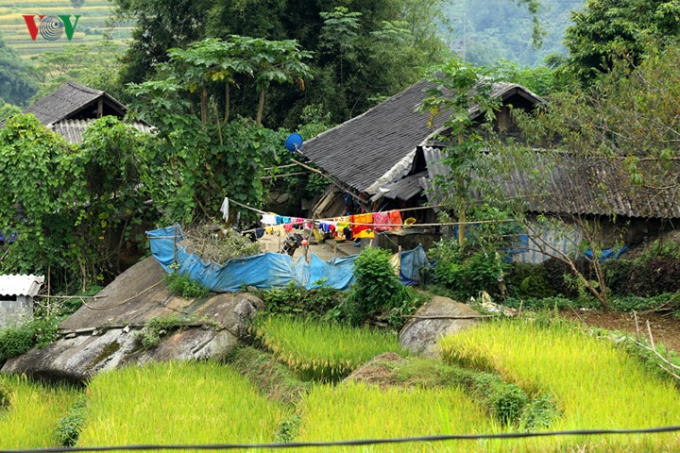 Dưới các thung núi Hoàng Liên Sơn thuộc địa bàn các huyện Than Uyên, Tam Đường, Tân Uyên, tỉnh Lai Châu là nơi quần cư của các bản làng đồng bào người Mông, Dao, Giáy...