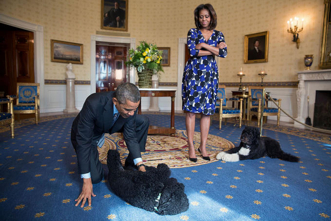 Ông Obama và vợ chụp ảnh bên cạnh 2 chú cún cưng của gia đình là Sunny và Bo.