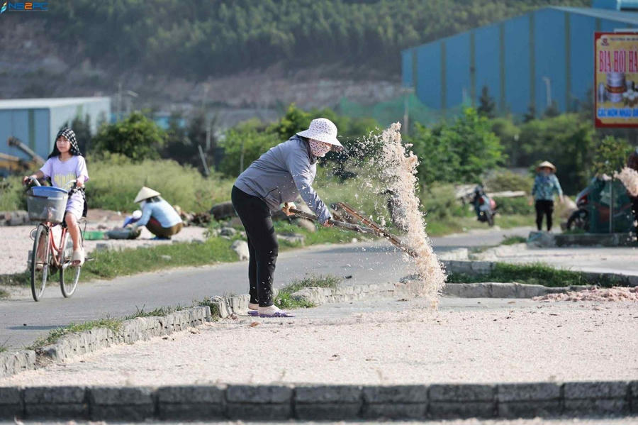 Những con ruốc tươi được người phơi ném lên trước khi rơi xuống mặt sân khô sạch. Ảnh NDCC