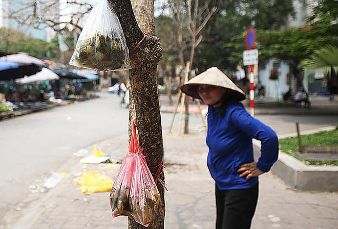 Dưới khu nhà N6 khu Yên Hòa-Nhân Chính, người dân treo dưa muối lên cây để khách tiện mua bán.