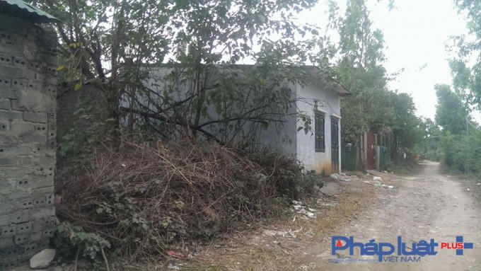 Nhiều ngôi nhà cấp 4 xây trên đất nông nghiệp.