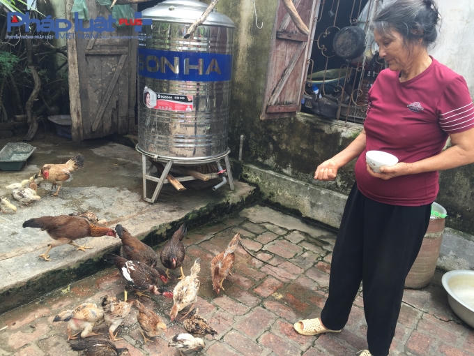 Dù được hưởng trợ cấp nhưng không thấm so với bệnh tật của bà. Hàng ngày bà Hợi vẫn cặm cụi chăm con gà, con chó để kiếm thêm thu nhập và lấy tiền chữa trị bệnh tật.