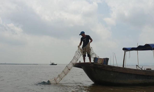 Nỗi lo khi ngư trường Tràng Cát bị “xóa sổ”