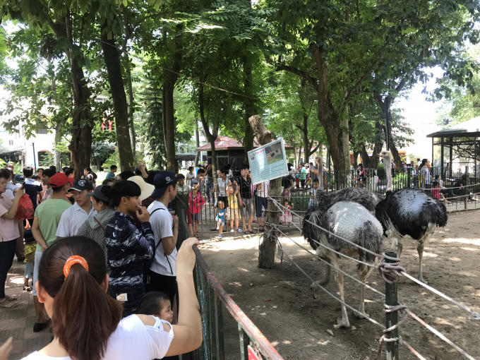 ...kh&ocirc;ng chỉ với trẻ nhỏ m&agrave; với cả c&aacute;c bậc phụ huynh, thanh ni&ecirc;n khi tham quan Vườn th&uacute;.