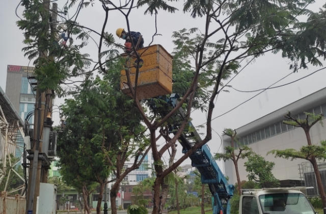 Điện lực Đà Nẵng sẵn sàng ứng phó với cơn bão Conson