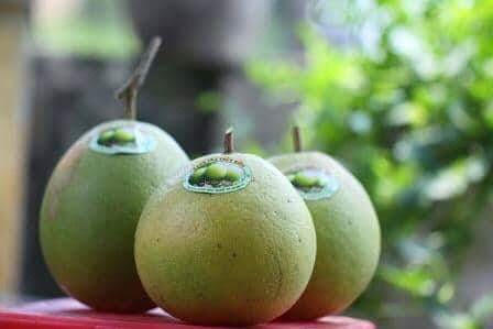 Với chủ đề năm nay là: “Thanh trà - hương vị xứ Huế”