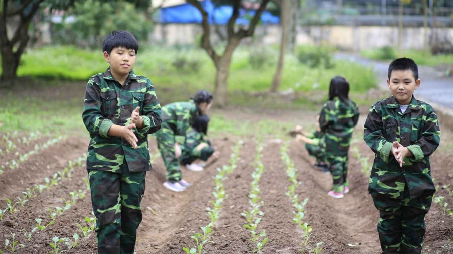 Cảnh giác lừa đảo mạo danh Học kỳ Quân đội, Trại hè Công an. (Ảnh minh họa)