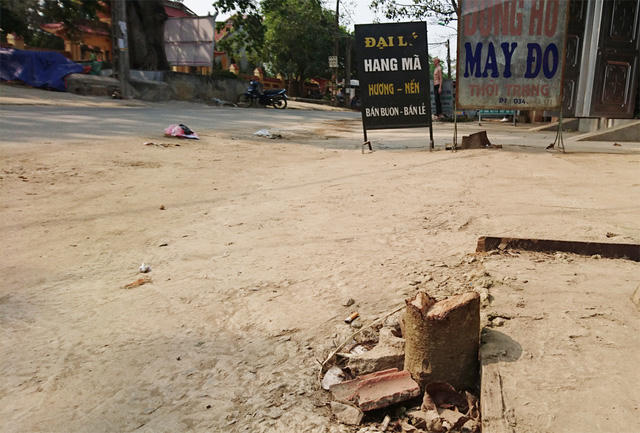 Thêm một xã ở Hà Nội bất ngờ chặt hàng loạt cây xanh