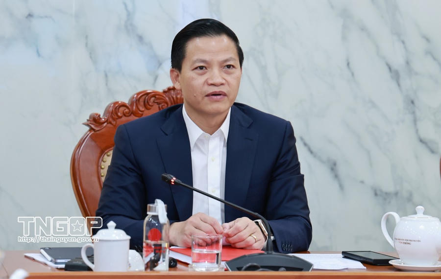 Chủ tịch UBND tỉnh Vương Quốc Tuấn phát biểu chỉ đạo.