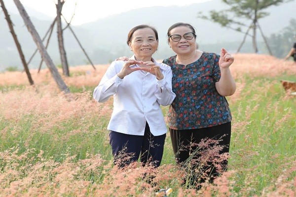 Đồi cỏ hồng thu hút mọi lứa tuổi.