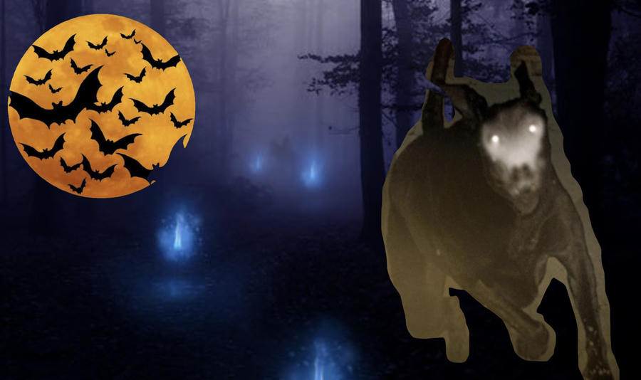 Phốt pho có nhiều trong phân dơi, gây ra hiện tượng ma trơi, trong văn học nổi tiếng với tác phẩm Con chó săn của dòng họ Baskerville - con chó có mắt phát sáng trong đêm vì bôi phốt pho