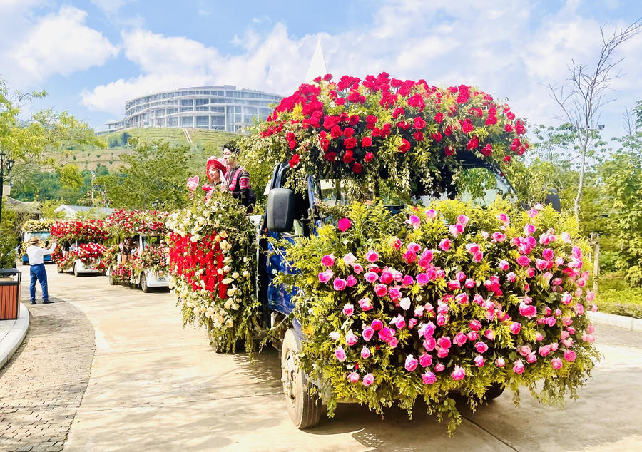 Lễ hội hoa hồng và Festival đường phố với chủ đề