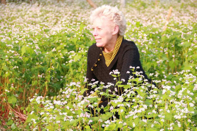 Nhiều du khách nước ngoài tỏ ra thích thú với loại hoa này.