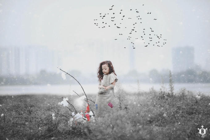 bay như những chú chim.