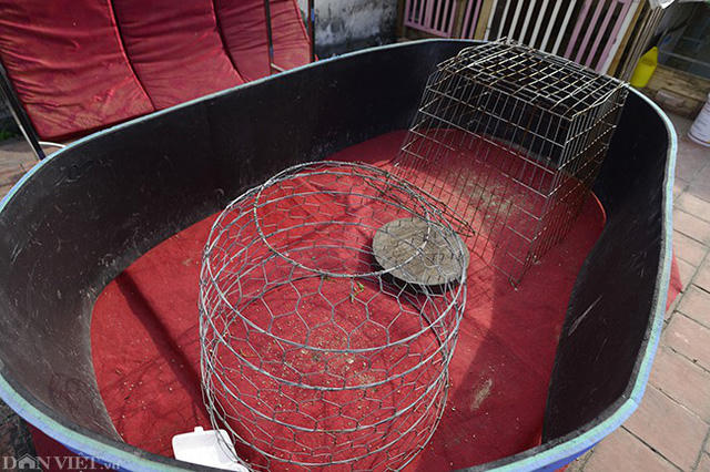 Đại diện tổ dân phố cho biết đã nhiều lần nhắc nhở những hộ dân nuôi gia cầm tại tầng thượng phải giữ gìn vệ sinh nhưng không có kết quả.