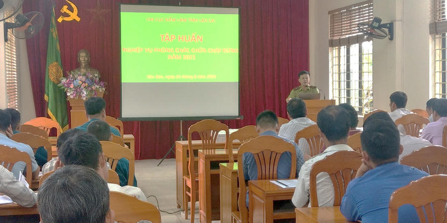 z4871202354433_7167c11a4311b2057ed29748eb0d8486