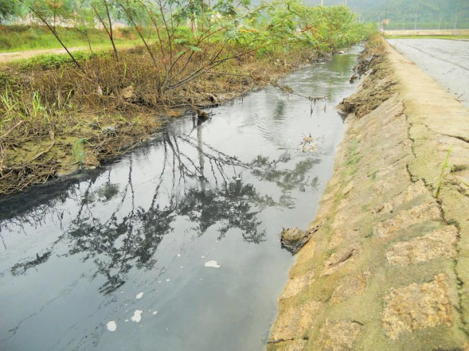 Mương thoát nước chảy qua khu dân cư tổ 1, KV 7 thường xuyên có màu đen ngòm, bốc mùi hôi thối nồng nặc.